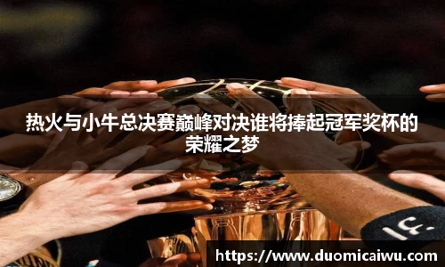 热火与小牛总决赛巅峰对决谁将捧起冠军奖杯的荣耀之梦