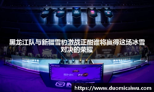 黑龙江队与新疆雪豹激战正酣谁将赢得这场冰雪对决的荣耀