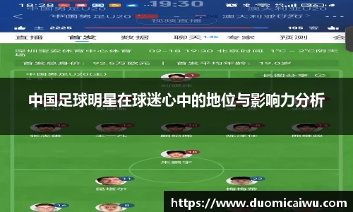 中国足球明星在球迷心中的地位与影响力分析
