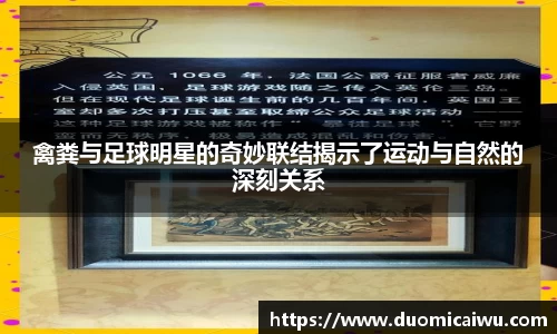 禽粪与足球明星的奇妙联结揭示了运动与自然的深刻关系